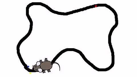 ライントレーサー