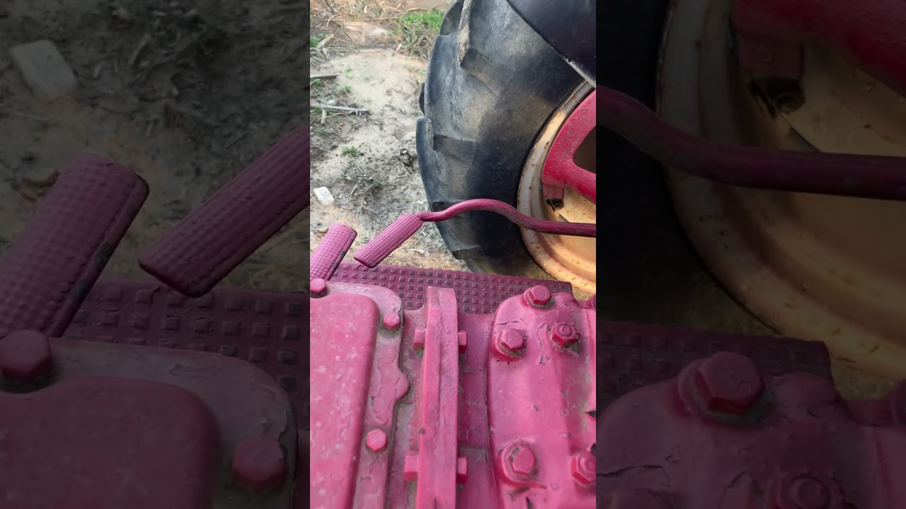 Mules in training from Ohio