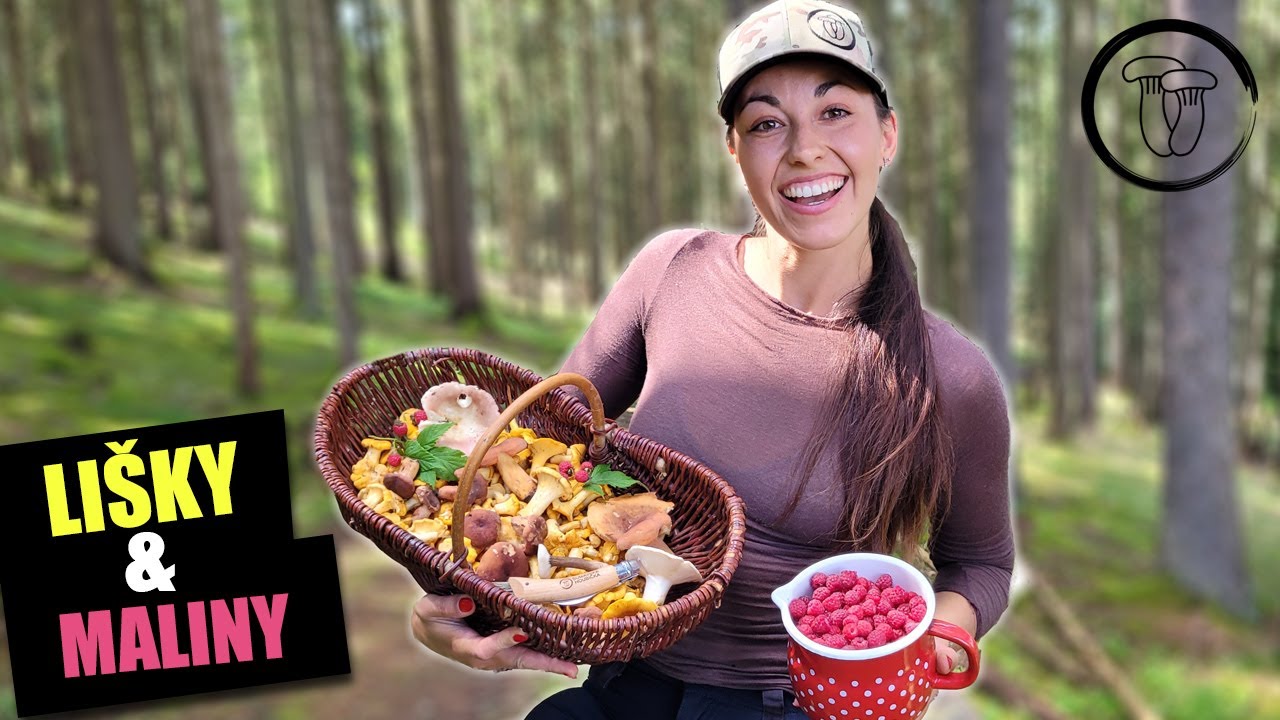 Holubinky, lišky a ryzec černohlávek. Houby na Šumavě začínají
