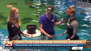 Learn About Cownose Rays and Bamboo Sharks at IMMS/Ocean Adventures WXXV25