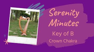 Serenity Minutes 23 - B Mode [Harp Mindfulness Minute]