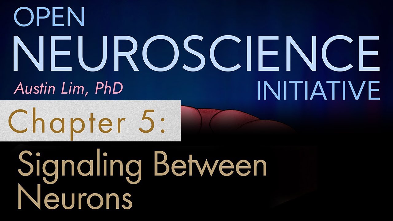 "Signaling Between Neurons" Chapter 5 - Open Neuroscience Initiative (Free audiobook)