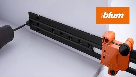 Universal individual template | Blum