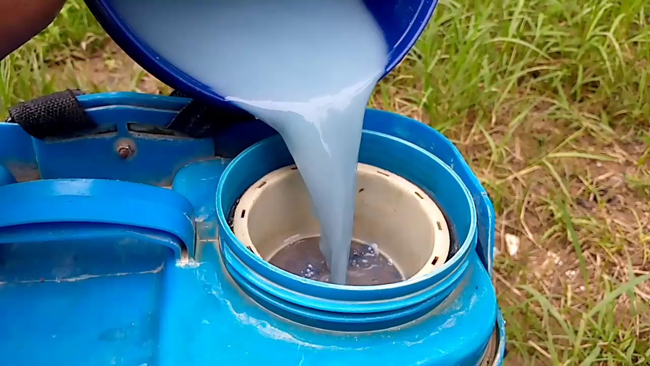 (part 5) Pengocoran cabe usia 8 HST menggunakan NPK 16-16-16