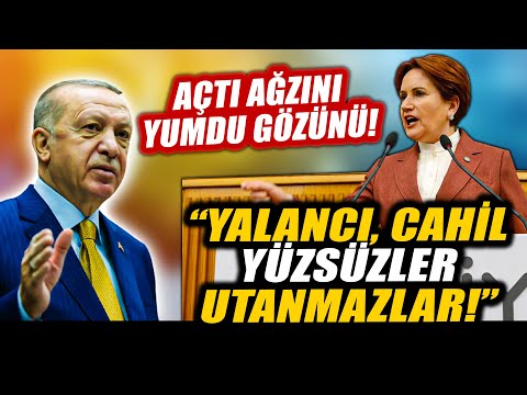 Meral Akşener Erdoğan'a açtı ağzını yumdu gözünü! "Yalancı, cahil, yüzsüzler, utanmazlar…"