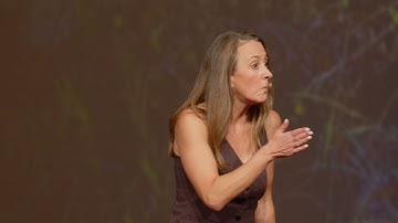 Bogs are real superheroes, cast as villains | Dr. Merritt Turetsky | TEDxBoulder