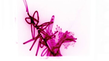 XY scope audio visual demo 03