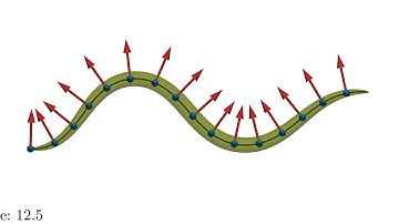Stable FEM for 3d undulatory locomotion: Video 2