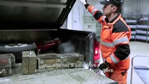 Cobalt consciousness