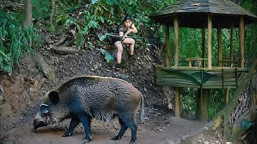Build new shelter, wild boar broke in, attacked my shelter, fight in the forest, wild survival alone