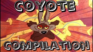 coyote compilation