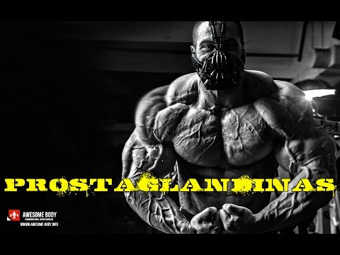 Ciclo de stanozolol e durateston tpc