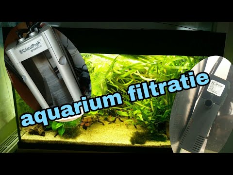 Video: Aquariumbodemfilter: Voor- En Nadelen