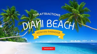 Top Things to Do in Diani Beach, Kenya