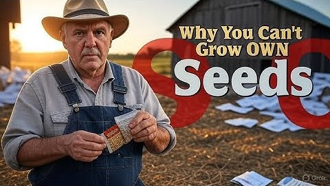🌾 Waarom boeren hun eigen zaden niet legaal kunnen herplanten