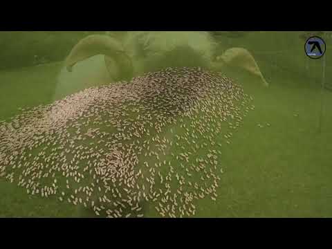 Aphex Twin - #13 (Blue Calx)