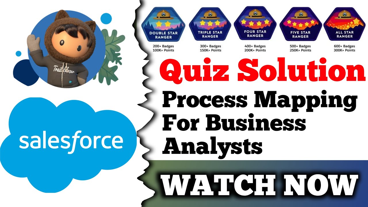 Process Mapping for Business Analysts | Salesforce Trailhead | Quiz ...