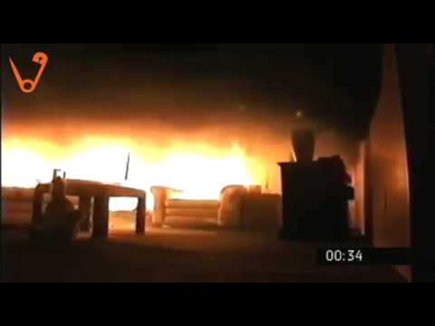 ნახეთ, როგორ შეიძლება, ნაძვის ხემ საახალწლო განწყობა 1 წუთში კოშმარად აქციოს