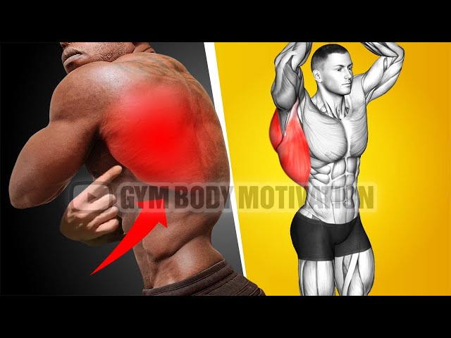 Officialgainzday - ⚠️⏫HOW TO GET A BIGGER BACK💪 💯 • How to get a bigger  back! - This also goes for the ladies, remember neglecting to train other  body parts can increase