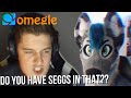 Invading Omegle in Fursuit 7.. (Trolling)