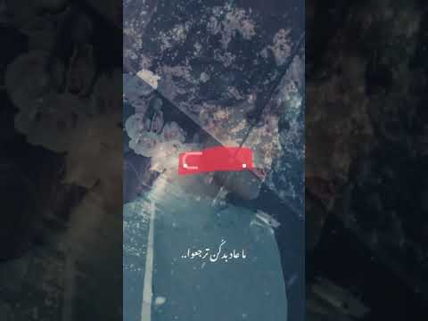 يا ناطرين التلج