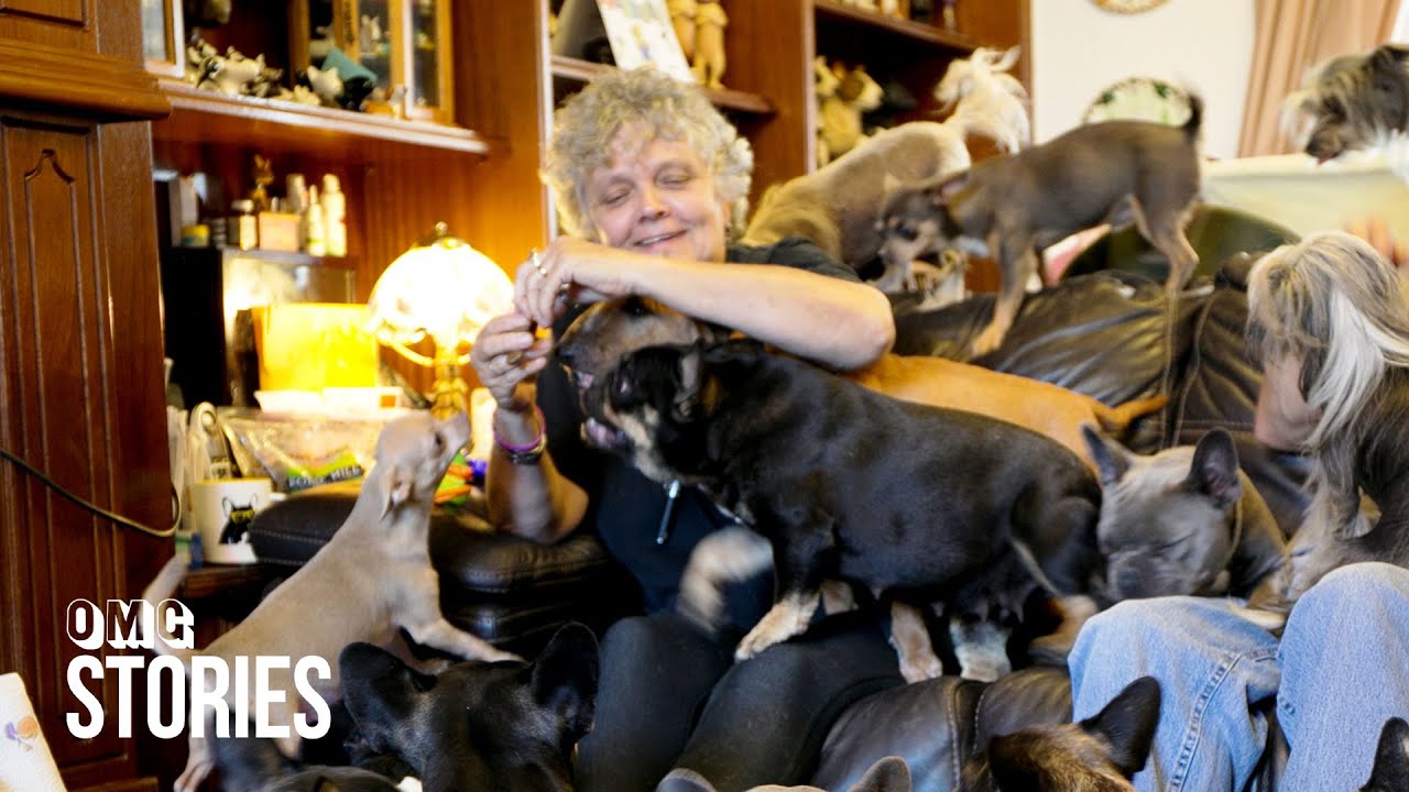 The Woman Who Can't Stop Buying Dogs