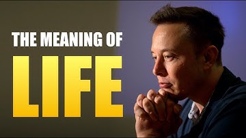 Elon Musk - The Meaning of Life