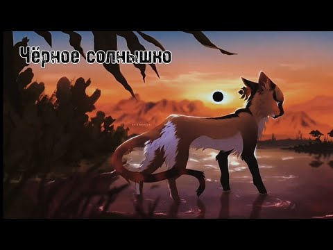 «Чёрное солнышко»//Коты Воители