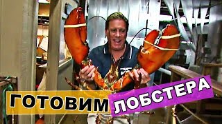 🍴 как готовить лобстера дома | lobster славный друже