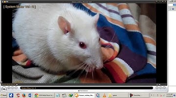 GOM Player: How to Capture Still Images from a Video File?