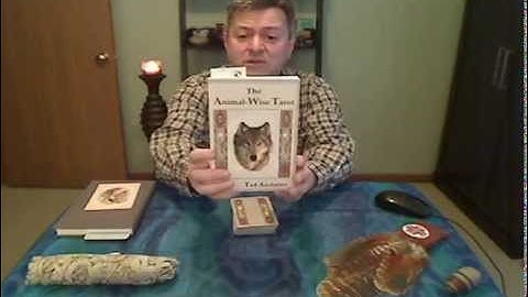 Weekly Angel Oracle Card Reading - February 16-22, 2015 - Animal Wise Tarot