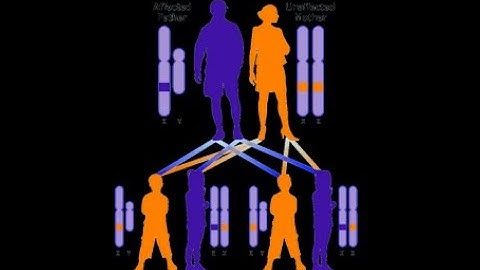 Sex linked inheritance, Part 1, X linked dominant traits
