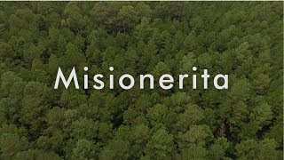 MISIONERITA | Canción oficial de la Provincia de Misiones