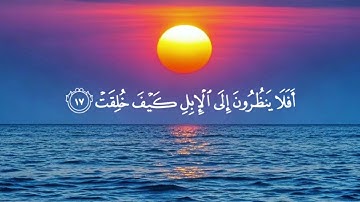 عبد الرحمن مسعد - سورة الغاشية 🎧 تلاوة خاشعة 😴 #قرآن_كريم #ارح_قلبك #تلاوة_خاشعة 