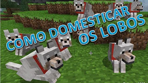 Como fazer um lobo te amar no Minecraft?