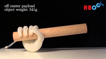 A novel type of compliant, underactuated robotic hand for dexterous grasping (3)