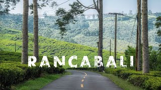 SEPANJANG JALAN KEBUN TEH RANCABALI CIWIDEY | BANDUNG