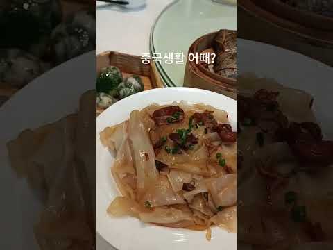 중국생활 | 광동성 광저우 | 중국 토박이와 합석해서 차마시기
