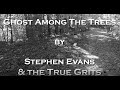 Ghost among the trees  stephen evans  the true grits  official lyric