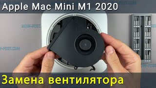 Apple Mac Mini M1 2020 Замена Вентилятора
