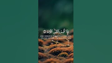 سوره القيامه #اكسبلور #القزابري #دويتو #المصحف #duet #الرحمن #حالات_واتس #العظماء #راحة_نفسية #ا