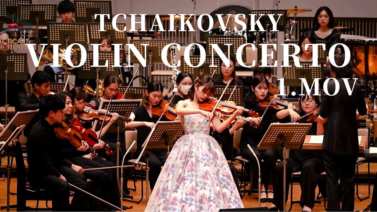 【壮大】チャイコフスキー:ヴァイオリン協奏曲ニ長調より第1楽章(Tchaikovsky Violin Concerto 1.mov)