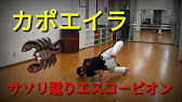 カポエイラ技 基本練習方法 カポエイラ技 基本練習方法