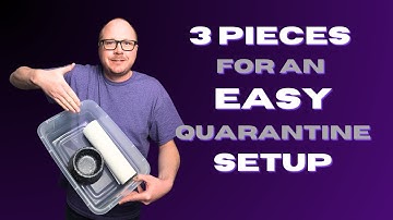 Easy Ball Python Quarantine Setup: Prepare Your New Reptile’s Home for Success
