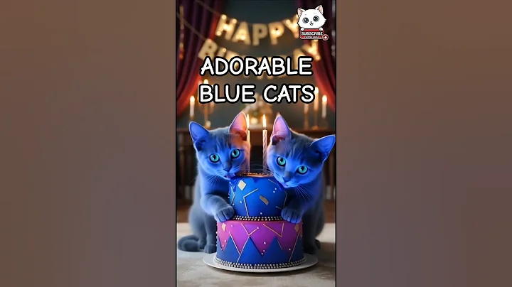 Video 11386121: russian blue cat meowing, adorable russian blue cat, cat golden meow, cat's meow toy