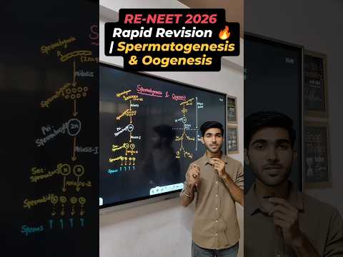 RE-NEET 2026 Rapid Revision 🔥 | Spermatogenesis & Oogenesis in 60 Sec#neet2026 #sachinsirphysics