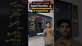 RE-NEET 2026 Rapid Revision 🔥 | Spermatogenesis & Oogenesis in 60 Sec#neet2026 #sachinsirphysics