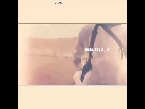 يتلني الشوق تلي ياليتني جار بيته