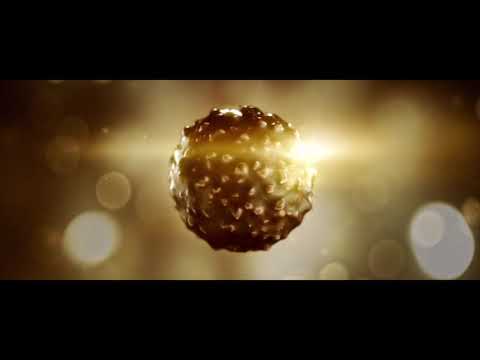 FERRERO ROCHER 15sec
