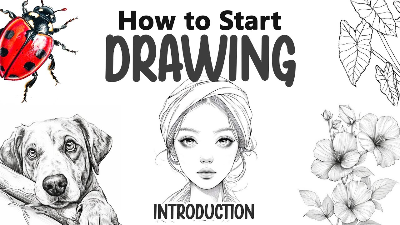 How to Start Drawing | Guide for Basic to Advanced Drawing | How to ...